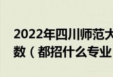 2022年四川师范大学各省招生计划及招生人数（都招什么专业）