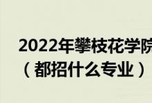 2022年攀枝花学院各省招生计划及招生人数（都招什么专业）