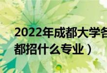 2022年成都大学各省招生计划及招生人数（都招什么专业）