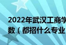 2022年武汉工商学院各省招生计划及招生人数（都招什么专业）