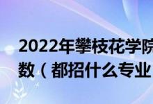 2022年攀枝花学院在江苏招生计划及招生人数（都招什么专业）