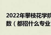 2022年攀枝花学院在山东招生计划及招生人数（都招什么专业）