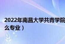 2022年南昌大学共青学院各省招生计划及招生人数（都招什么专业）