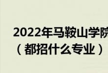 2022年马鞍山学院各省招生计划及招生人数（都招什么专业）