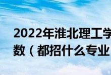 2022年淮北理工学院各省招生计划及招生人数（都招什么专业）