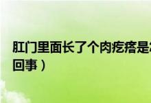 肛门里面长了个肉疙瘩是怎么回事（肛门长了个肉疙瘩怎么回事）