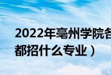 2022年亳州学院各省招生计划及招生人数（都招什么专业）