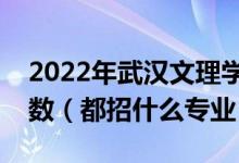 2022年武汉文理学院各省招生计划及招生人数（都招什么专业）