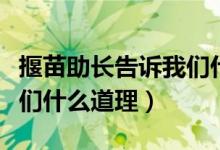 揠苗助长告诉我们什么道理（揠苗助长告诉我们什么道理）