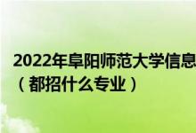 2022年阜阳师范大学信息工程学院各省招生计划及招生人数（都招什么专业）