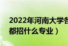 2022年河南大学各省招生计划及招生人数（都招什么专业）