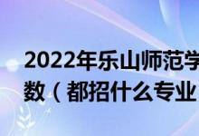 2022年乐山师范学院各省招生计划及招生人数（都招什么专业）