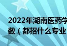 2022年湖南医药学院各省招生计划及招生人数（都招什么专业）