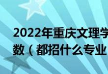 2022年重庆文理学院各省招生计划及招生人数（都招什么专业）