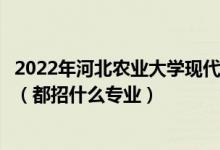 2022年河北农业大学现代科技学院各省招生计划及招生人数（都招什么专业）