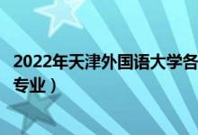 2022年天津外国语大学各省招生计划及招生人数（都招什么专业）