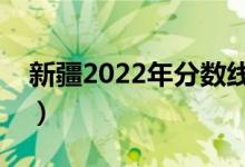 新疆2022年分数线大概多少（多少分上一本）