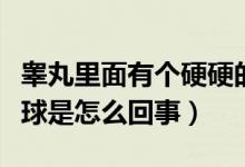 睾丸里面有个硬硬的小球（阴囊里面有个硬小球是怎么回事）