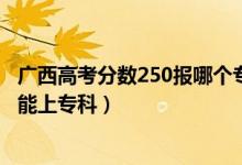 广西高考分数250报哪个专科学校（2022年广西高考多少分能上专科）