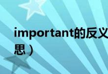 important的反义词（important是什么意思）