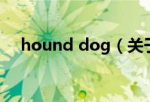 hound dog（关于hound dog的介绍）