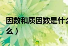 因数和质因数是什么意思（因数和质因数是什么）