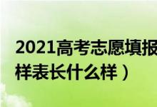 2021高考志愿填报表（2022年高考志愿填报样表长什么样）