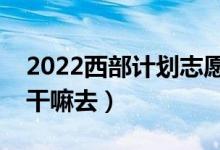 2022西部计划志愿者有什么出路（结束后能干嘛去）