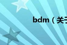 bdm（关于bdm的介绍）