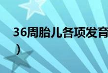 36周胎儿各项发育标准（36周胎儿发育标准）