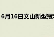 6月16日文山新型冠状病毒肺炎疫情最新消息