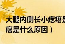 大腿内侧长小疙瘩是怎么回事（大腿内侧长疙瘩是什么原因）