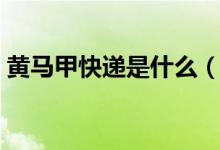 黄马甲快递是什么（黄马甲是什么快递公司）