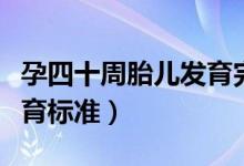 孕四十周胎儿发育完全了吗（孕四十周胎儿发育标准）