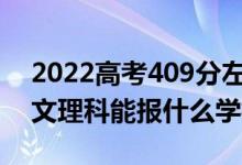 2022高考409分左右能上哪些大学（新高考文理科能报什么学校）