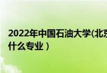 2022年中国石油大学(北京)各省招生计划及招生人数（都招什么专业）