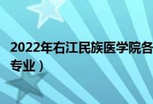 2022年右江民族医学院各省招生计划及招生人数（都招什么专业）