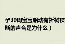 孕39周宝宝胎动有折树枝的声音（胎动肚子偶尔有小树枝折断的声音是为什么）