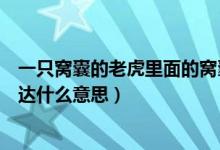 一只窝囊的老虎里面的窝囊是什么意思（一只窝囊的老虎表达什么意思）