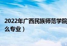 2022年广西民族师范学院各省招生计划及招生人数（都招什么专业）