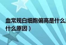 血常规白细胞偏高是什么原因儿童（儿童血常规白细胞高是什么原因）