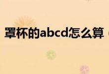 罩杯的abcd怎么算（罩杯的abcd计算方法）