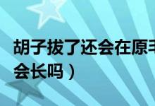 胡子拔了还会在原毛孔里长出吗（胡子拔了还会长吗）