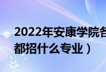 2022年安康学院各省招生计划及招生人数（都招什么专业）