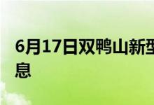 6月17日双鸭山新型冠状病毒肺炎疫情最新消息