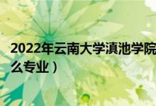 2022年云南大学滇池学院各省招生计划及招生人数（都招什么专业）