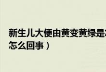 新生儿大便由黄变黄绿是怎么回事（新生儿拉屎费劲脸通红怎么回事）