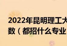 2022年昆明理工大学各省招生计划及招生人数（都招什么专业）