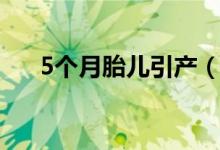 5个月胎儿引产（5个月胎儿引产下来）