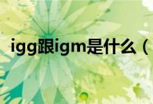 igg跟igm是什么（IgG和IgM有什么区别）